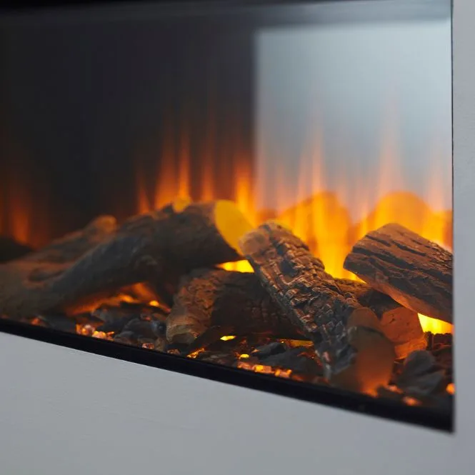 New Forest 870 - British Fires — Forest view