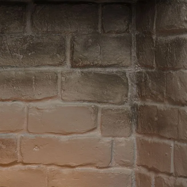 TAGU ZenFlame - Insertable — Interior de ladrillo